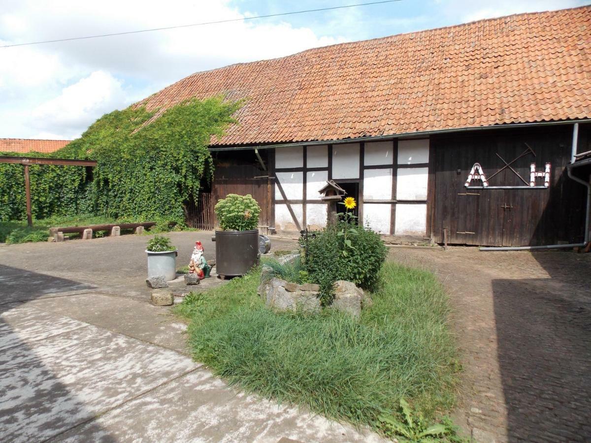 Pension Hoffmann Trebra エクステリア 写真